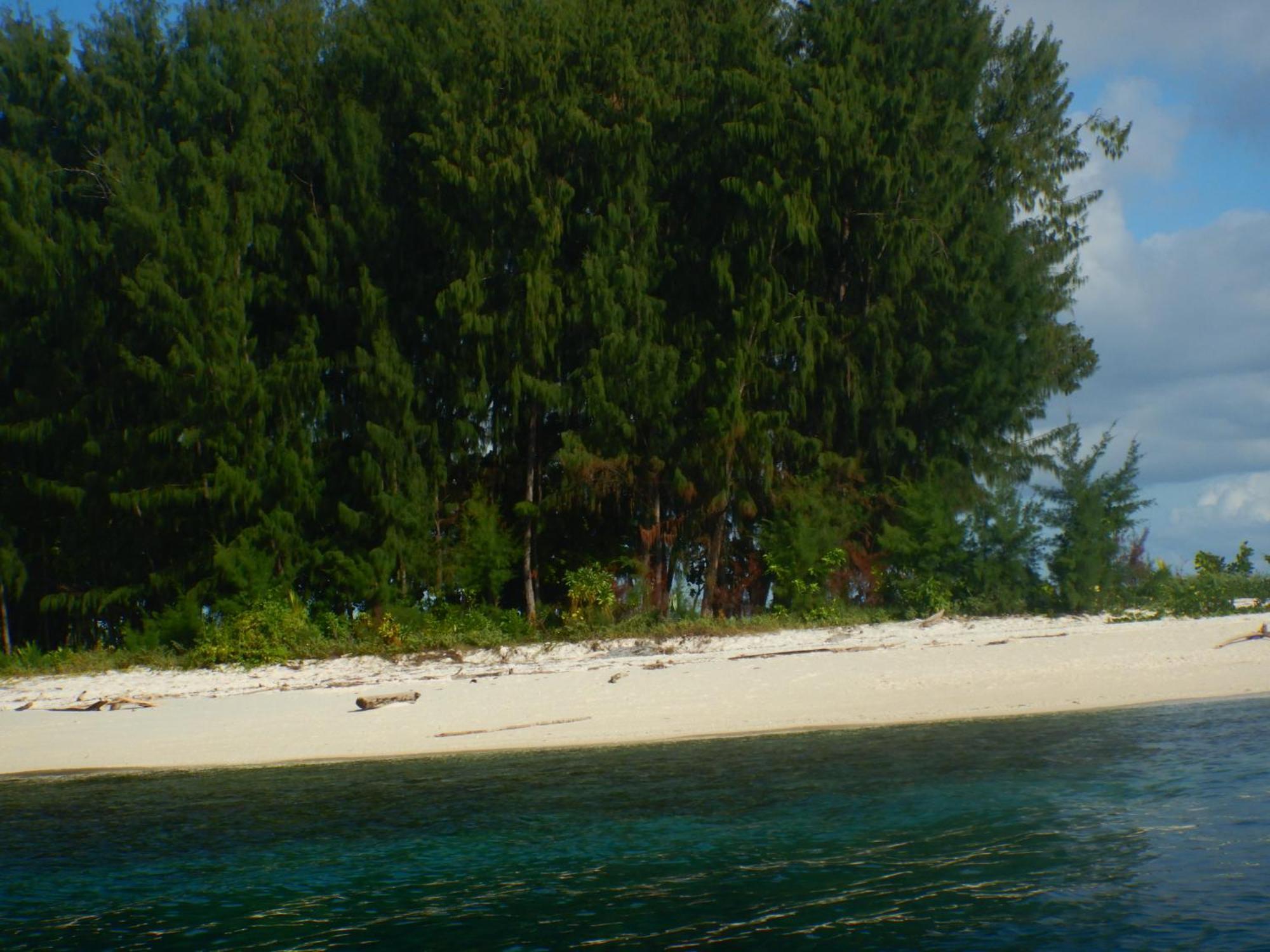 Raja Ampat Blue Sea Villa Besir Exterior photo